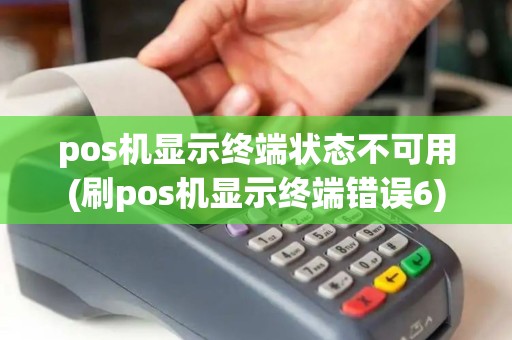 pos机显示终端状态不可用(刷pos机显示终端错误6)