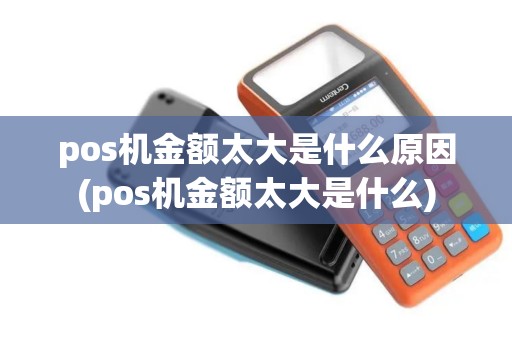 pos机金额太大是什么原因(pos机金额太大是什么) pos机金额太大是什么原因(pos机金额太大是什么)