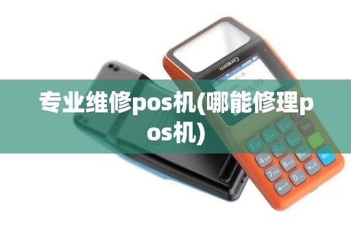 专业维修pos机(哪能修理pos机) 专业维修pos机(哪能修理pos机)