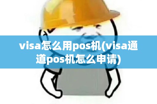 visa怎么用pos机(visa通道pos机怎么申请)