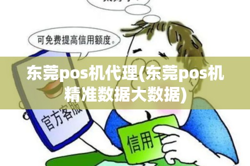 东莞pos机代理(东莞pos机精准数据大数据)