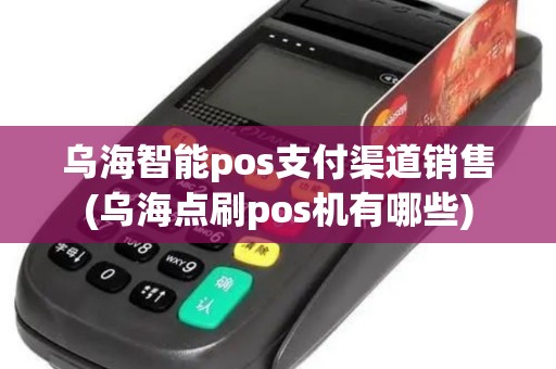 乌海智能pos支付渠道销售(乌海点刷pos机有哪些)