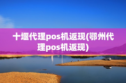 十堰代理pos机返现(鄂州代理pos机返现)