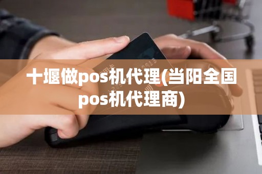 十堰做pos机代理(当阳全国pos机代理商)
