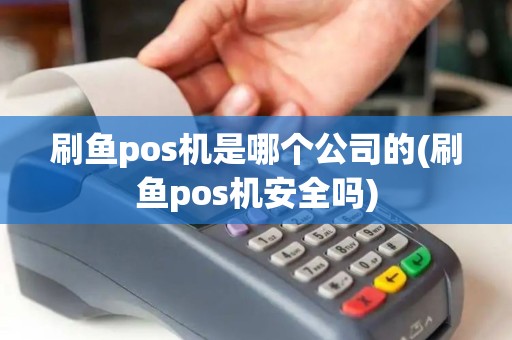 刷鱼pos机是哪个公司的(刷鱼pos机安全吗)