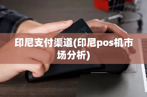 印尼支付渠道(印尼pos机市场分析)