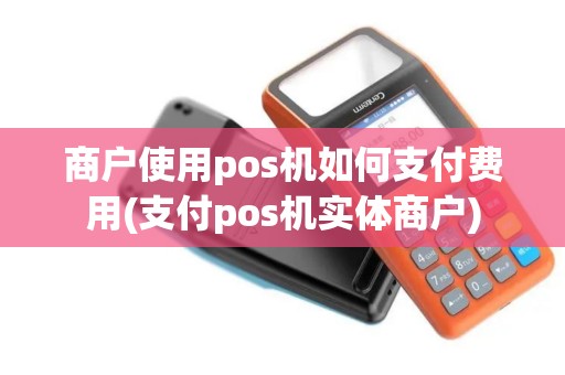 商户使用pos机如何支付费用(支付pos机实体商户)