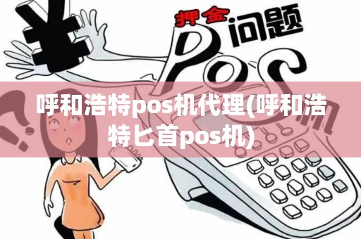 呼和浩特pos机代理(呼和浩特匕首pos机)