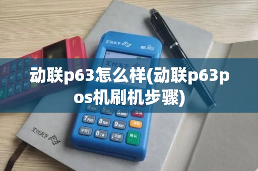 动联p63怎么样(动联p63pos机刷机步骤)