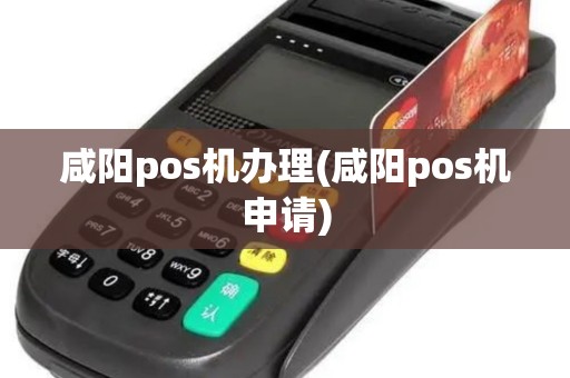 咸阳pos机办理(咸阳pos机申请)