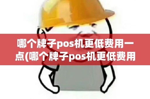 哪个牌子pos机更低费用一点(哪个牌子pos机更低费用)