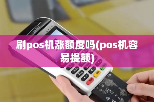 刷pos机涨额度吗(pos机容易提额)