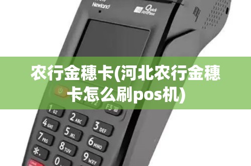 农行金穗卡(河北农行金穗卡怎么刷pos机)