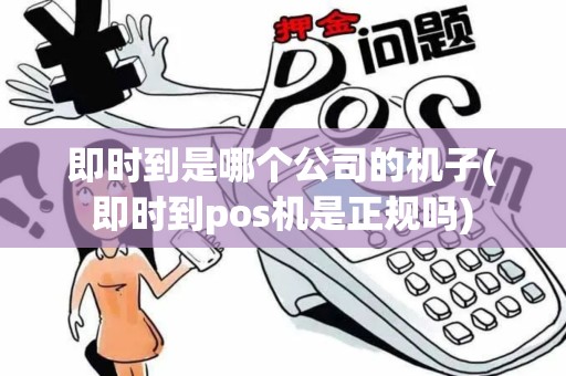 即时到是哪个公司的机子(即时到pos机是正规吗)