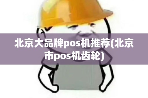 北京大品牌pos机推荐(北京市pos机齿轮)