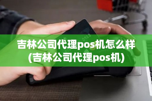 吉林公司代理pos机怎么样(吉林公司代理pos机)