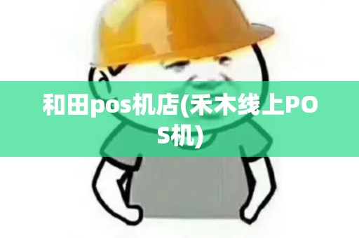 和田pos机店(禾木线上POS机)