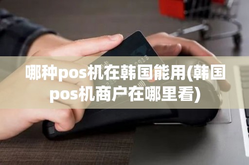哪种pos机在韩国能用(韩国pos机商户在哪里看)