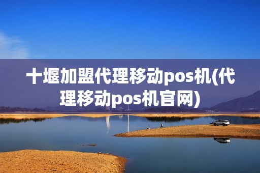 十堰加盟代理移动pos机(代理移动pos机官网)