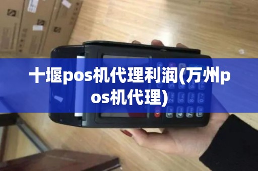 十堰pos机代理利润(万州pos机代理)