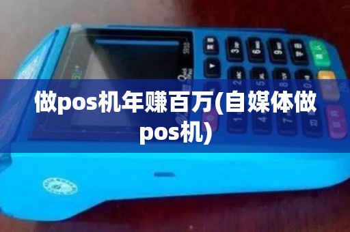 做pos机年赚百万(自媒体做pos机) 做pos机年赚百万(自媒体做pos机)
