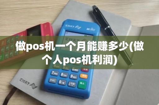 做pos机一个月能赚多少(做个人pos机利润)