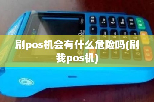 刷pos机会有什么危险吗(刷我pos机)