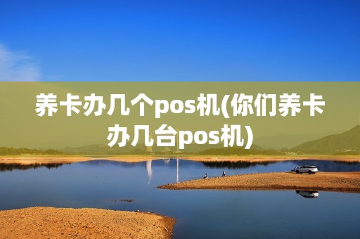 养卡办几个pos机(你们养卡办几台pos机)