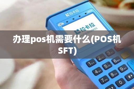 办理pos机需要什么(POS机SFT)