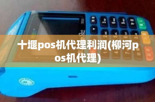 十堰pos机代理利润(柳河pos机代理)