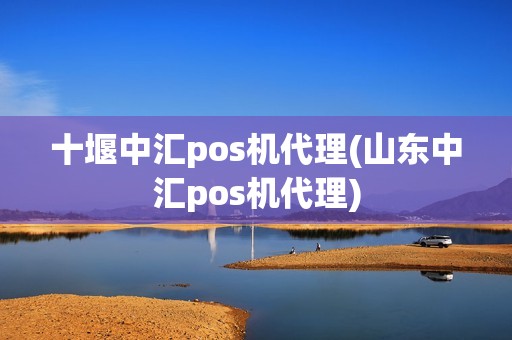 十堰中汇pos机代理(山东中汇pos机代理)