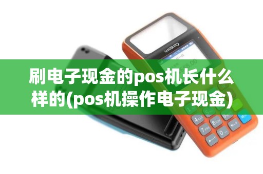 刷电子现金的pos机长什么样的(pos机操作电子现金)