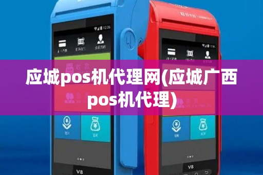 应城pos机代理网(应城广西pos机代理)