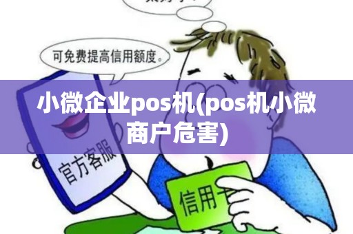 小微企业pos机(pos机小微商户危害)