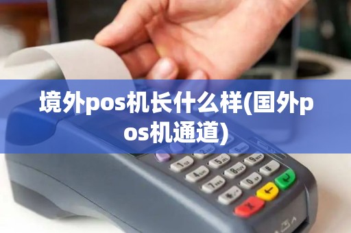 境外pos机长什么样(国外pos机通道)