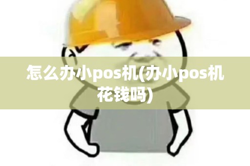 怎么办小pos机(办小pos机花钱吗)