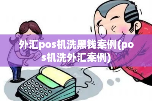 外汇pos机洗黑钱案例(pos机洗外汇案例)