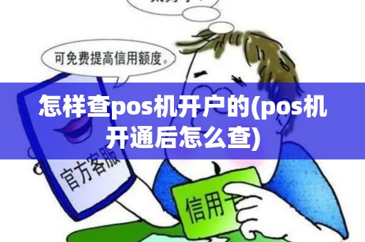 怎样查pos机开户的(pos机开通后怎么查)