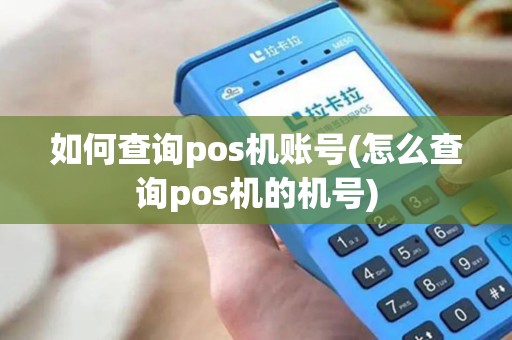 如何查询pos机账号(怎么查询pos机的机号)