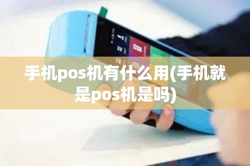 手机pos机有什么用(手机就是pos机是吗)