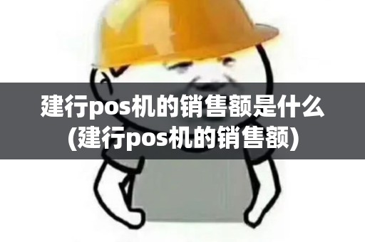 建行pos机的销售额是什么(建行pos机的销售额)