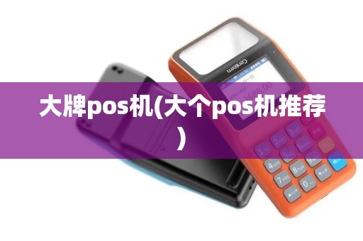 大牌pos机(大个pos机推荐)