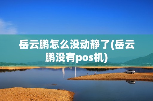 岳云鹏怎么没动静了(岳云鹏没有pos机)
