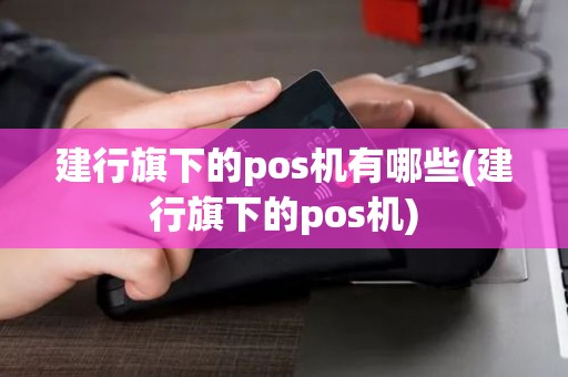 建行旗下的pos机有哪些(建行旗下的pos机)