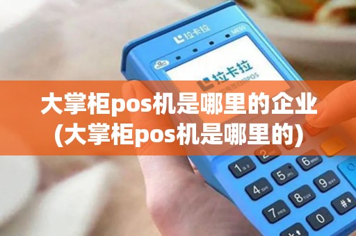 大掌柜pos机是哪里的企业(大掌柜pos机是哪里的)