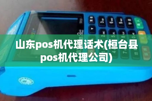 山东pos机代理话术(桓台县pos机代理公司)