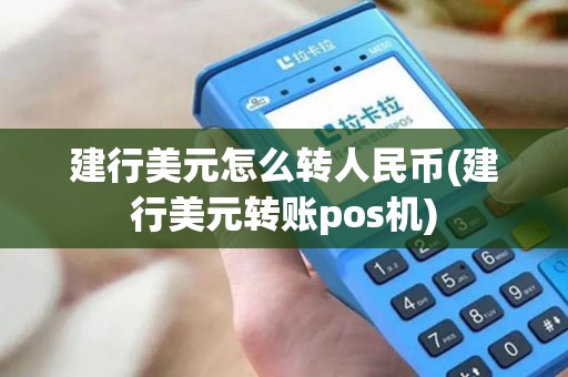 建行美元怎么转人民币(建行美元转账pos机)