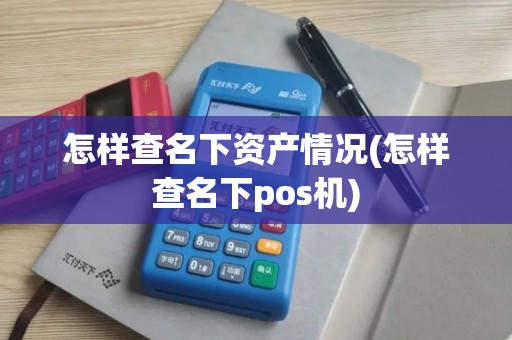 怎样查名下资产情况(怎样查名下pos机)