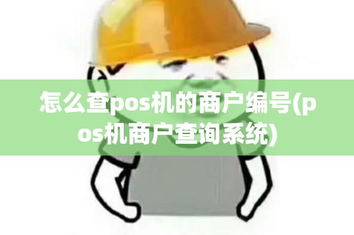 怎么查pos机的商户编号(pos机商户查询系统)