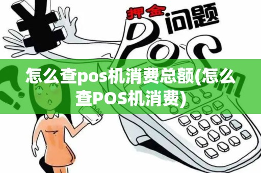怎么查pos机消费总额(怎么查POS机消费)